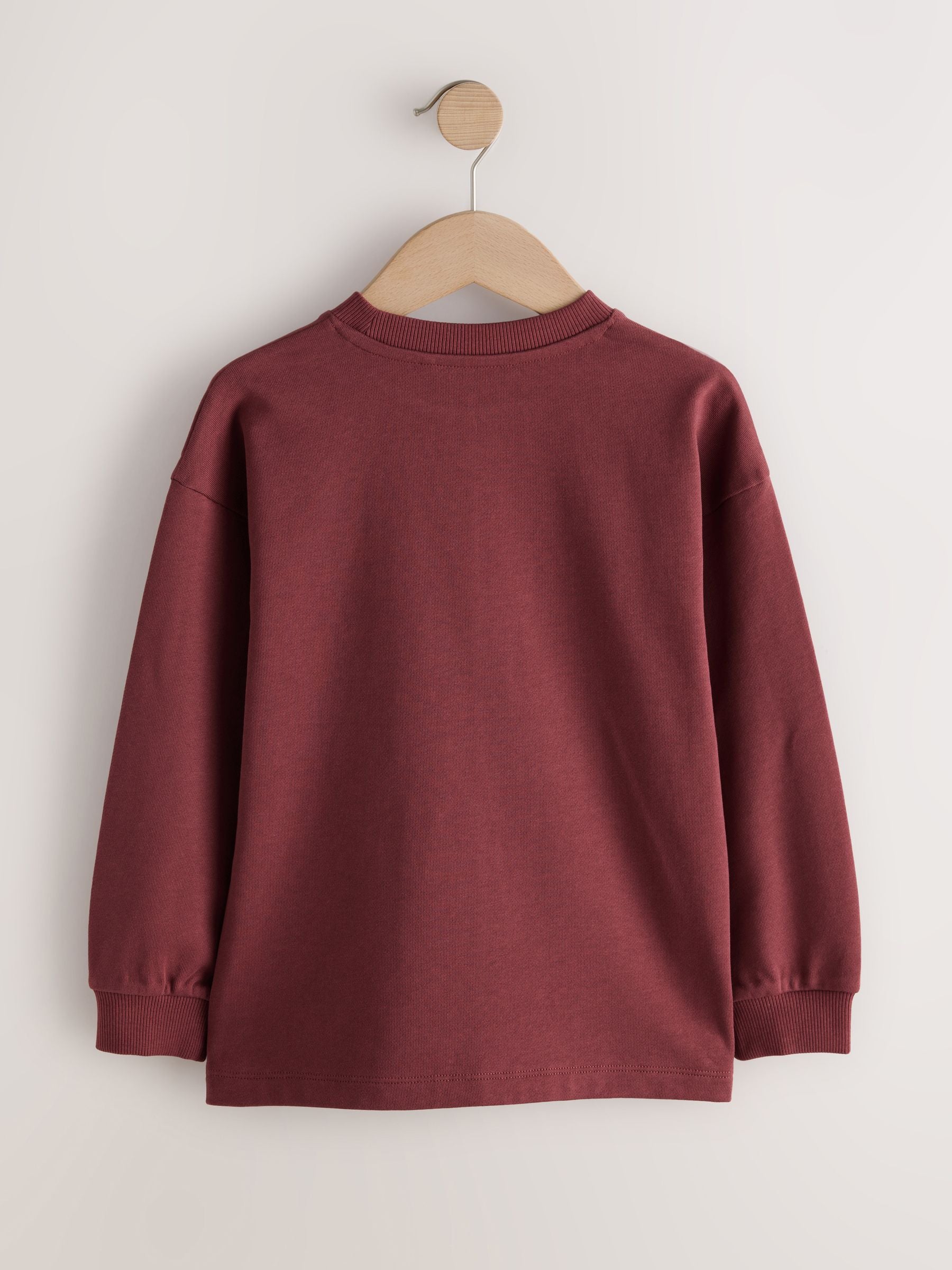 Dsiney Kidz - Burgundy Red Relaxed Fit Long Sleeve Heavyweight T-Shirt (3-16yrs) image 4