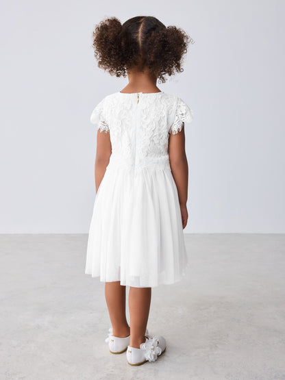 Baker by Ted Baker Lace Mesh Dress image 2