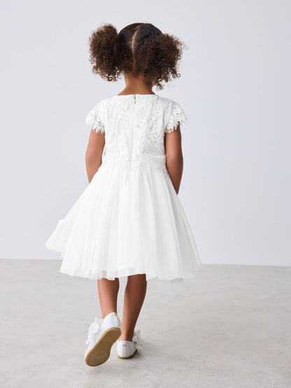 Baker by Ted Baker Lace Mesh Dress image 3