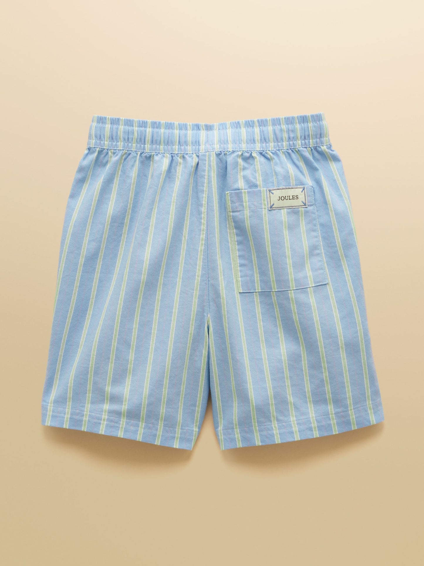 Dsiney Kidz - Joules Boys' Hadley Blue Striped Cotton Woven Shorts image 2