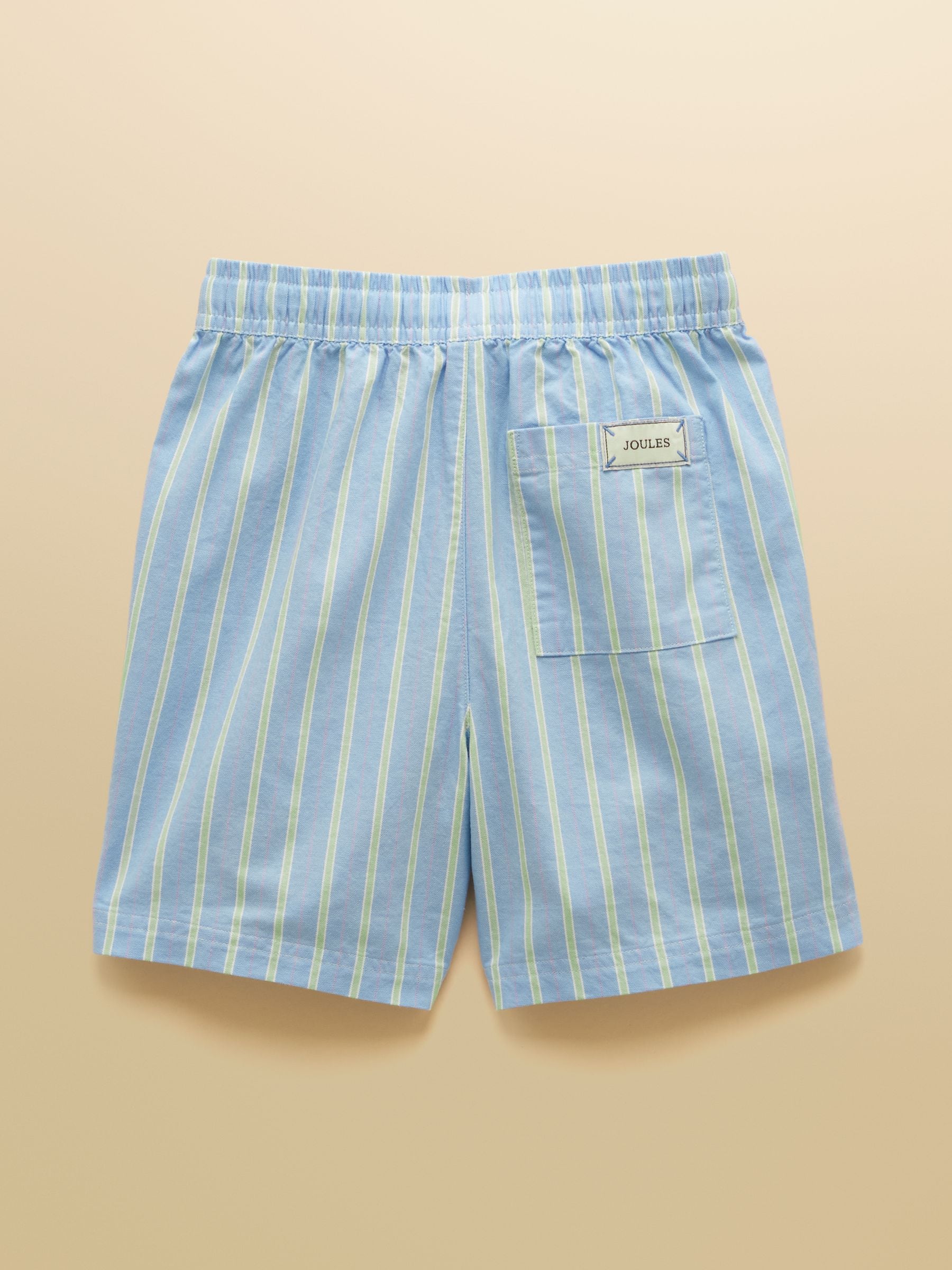 Dsiney Kidz - Joules Boys' Hadley Blue Striped Cotton Woven Shorts image 2