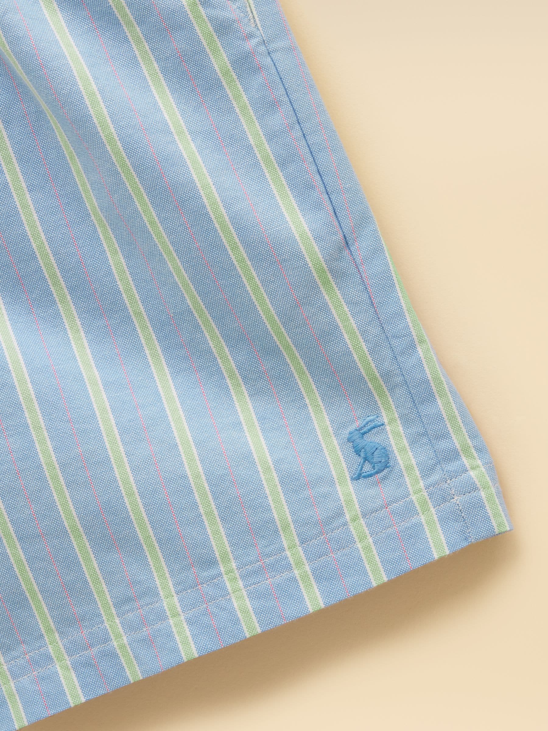 Dsiney Kidz - Joules Boys' Hadley Blue Striped Cotton Woven Shorts image 3