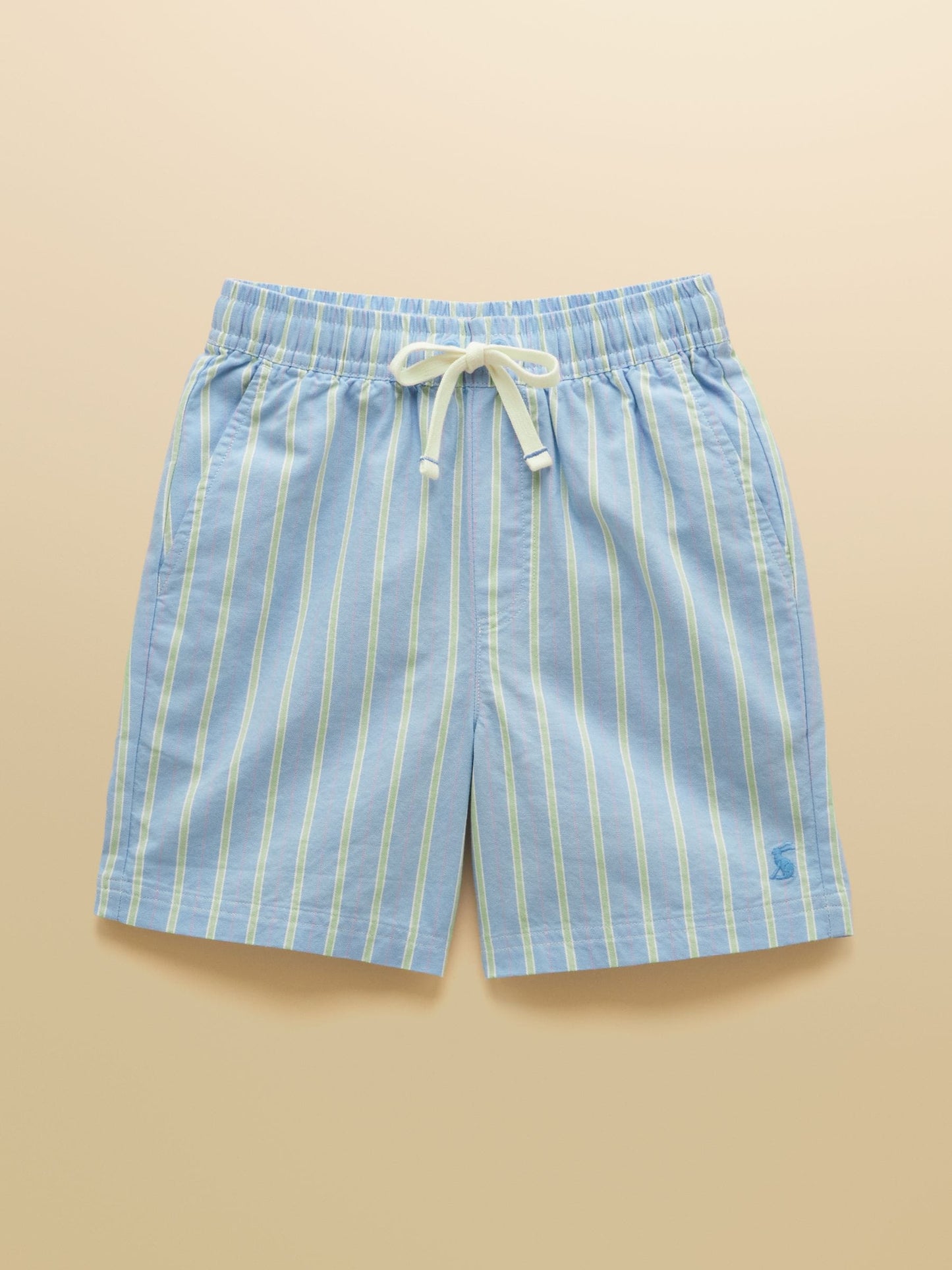 Dsiney Kidz - Joules Boys' Hadley Blue Striped Cotton Woven Shorts image 1