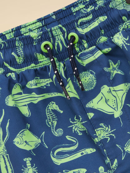 Joules Boys' Ocean Blue Printed Swim Shorts image 5