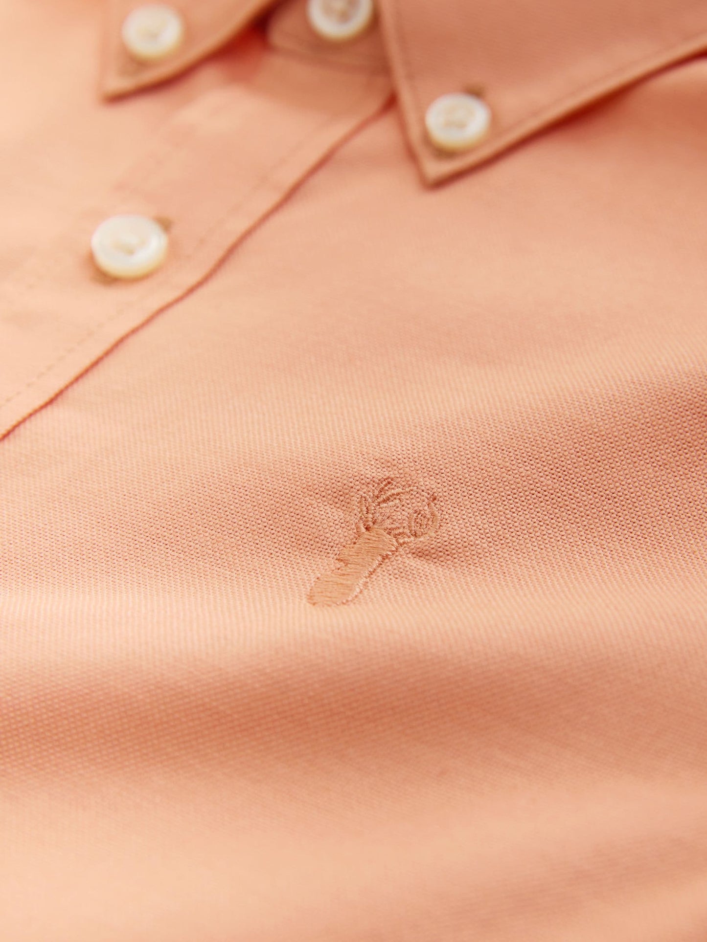 Dsiney Kidz - Orange Logo Short Sleeve Cotton Rich Oxford Shirt (3-16yrs) image 3