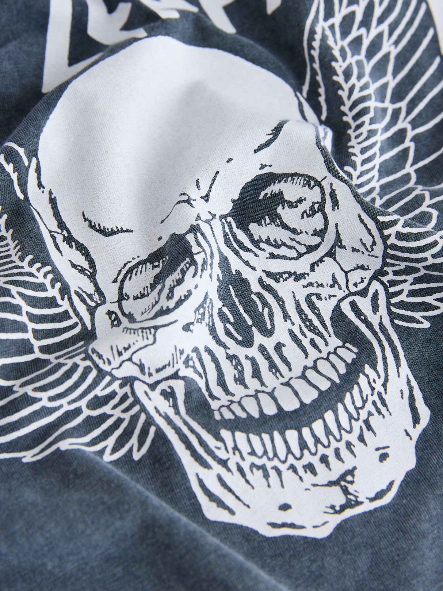 Dsiney Kidz - Grey Def Leppard Band T-Shirt (3-16yrs) image 3