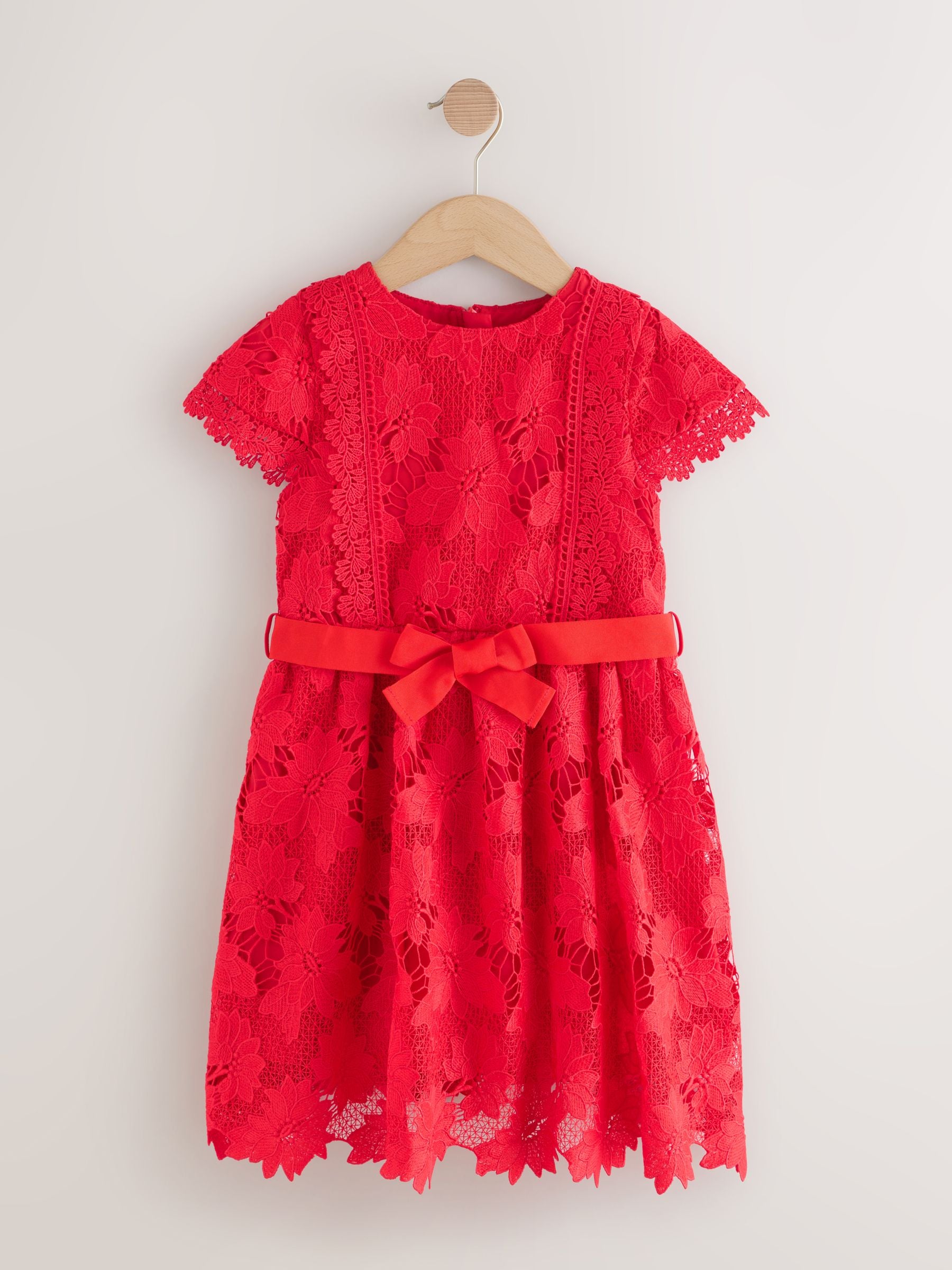 Red Lace Occasion Dress (3-16yrs) image 6