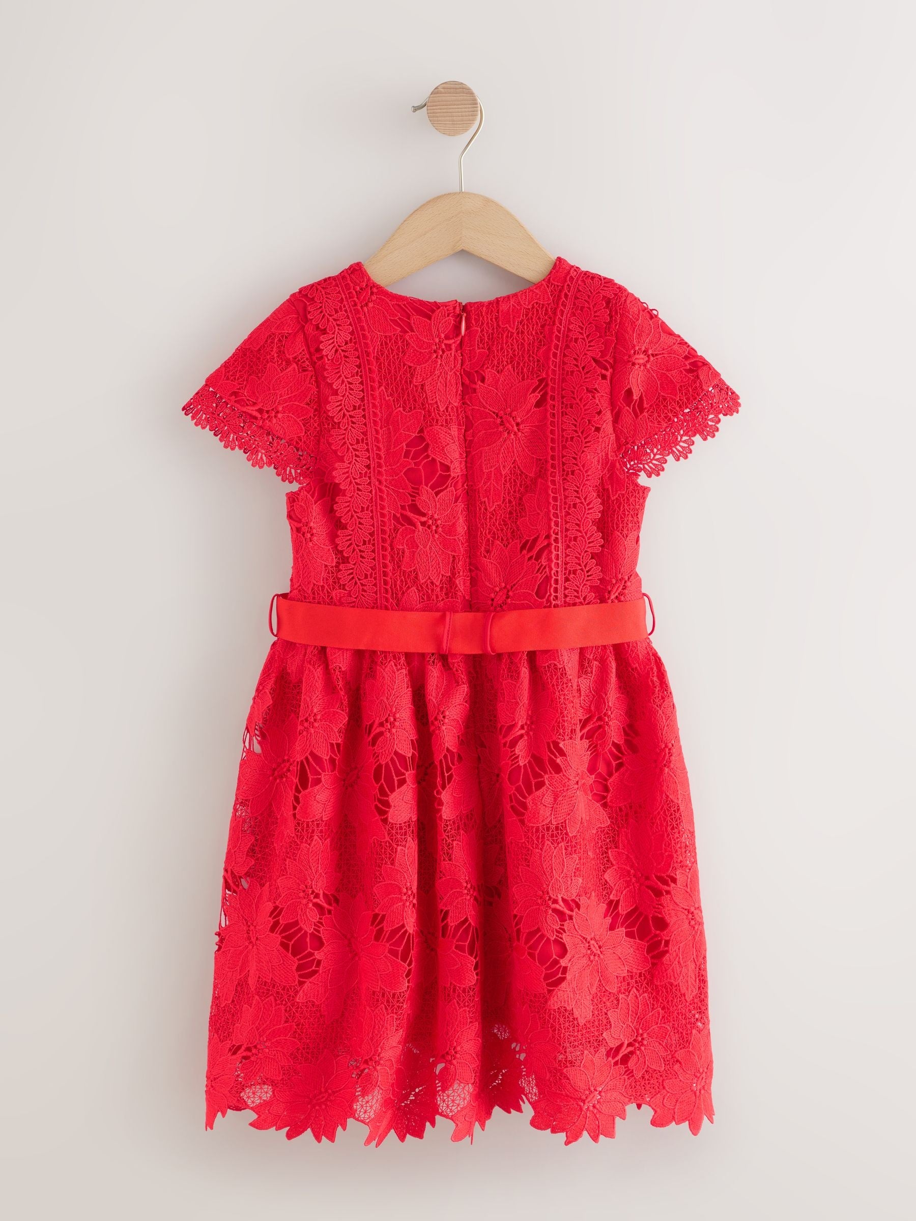 Red Lace Occasion Dress (3-16yrs) image 7