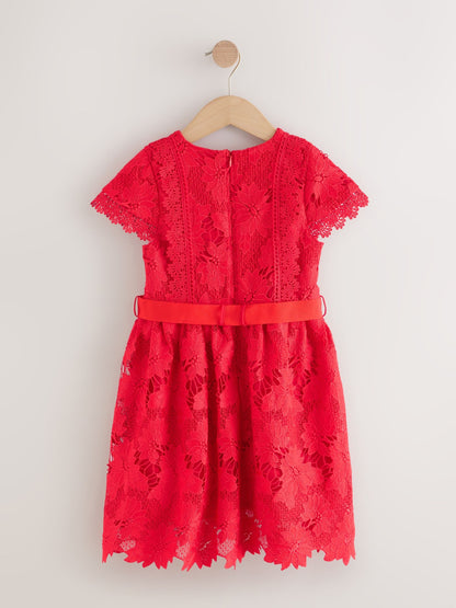 Red Lace Occasion Dress (3-16yrs) image 7