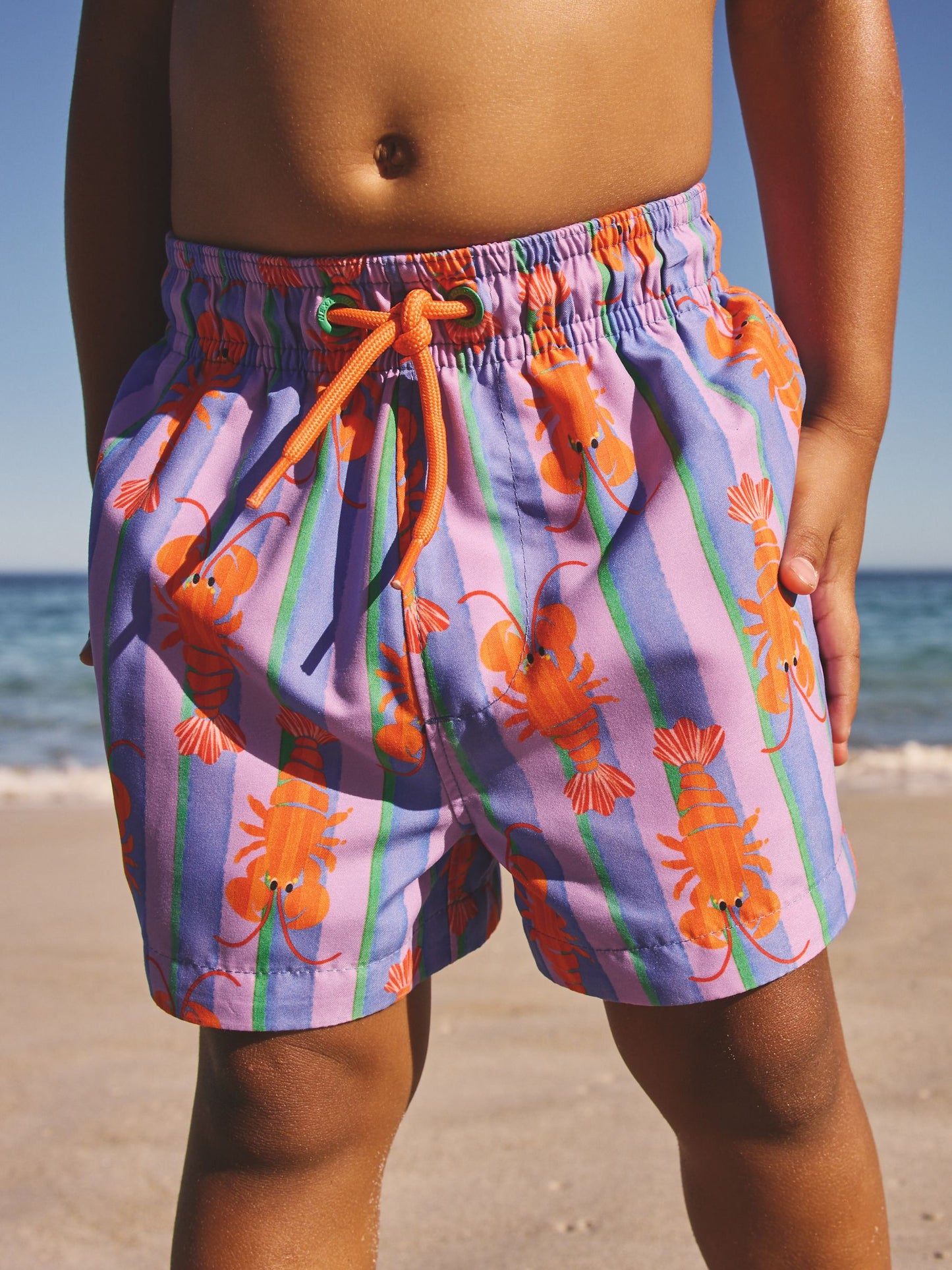 Pink/Lilac Printed Swim Shorts (3mths-7yrs) image 4