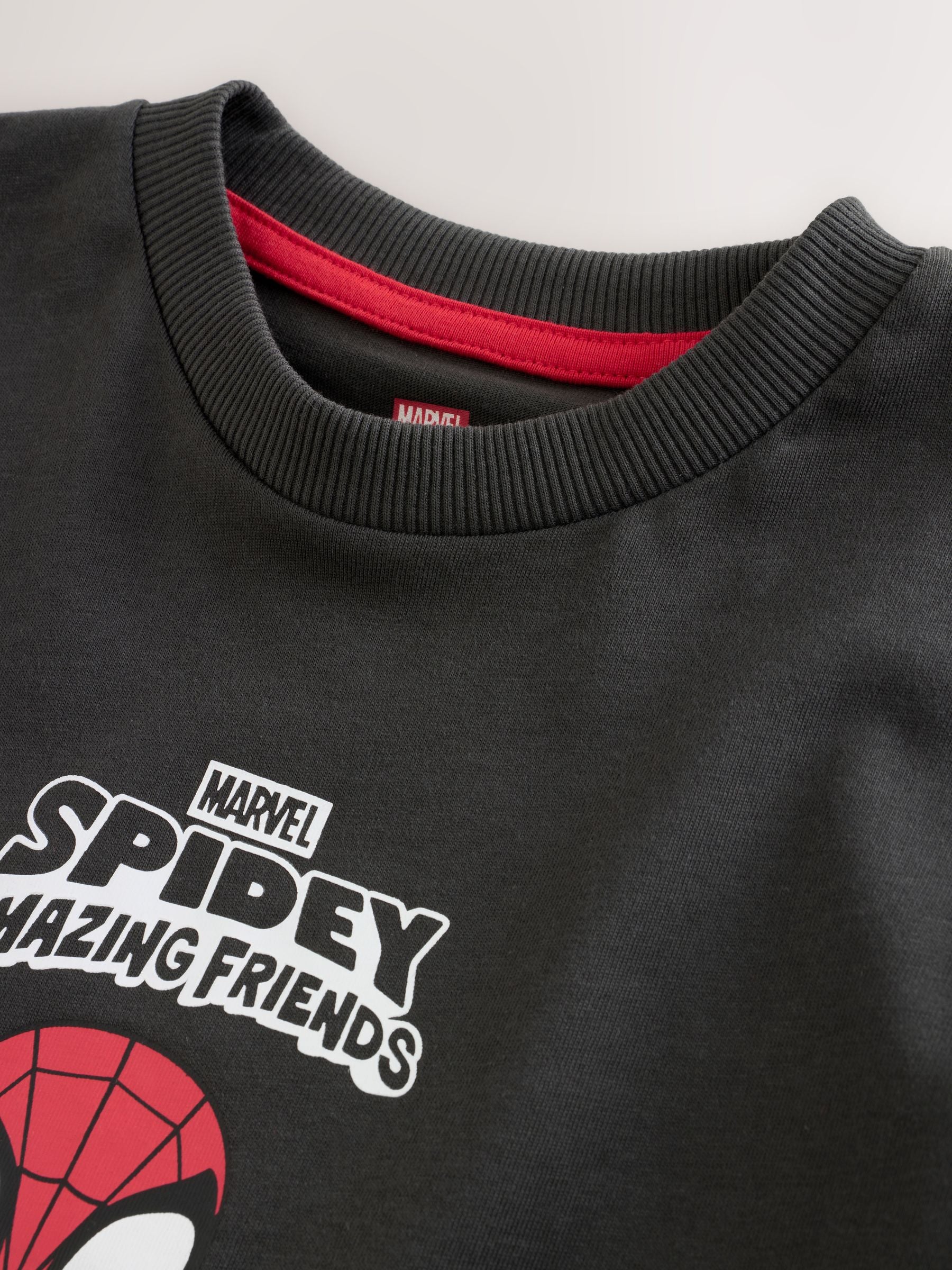 Charcoal Grey Spidey Marvel Short Sleeve Cotton T-Shirt (3mths-8yrs) image 6