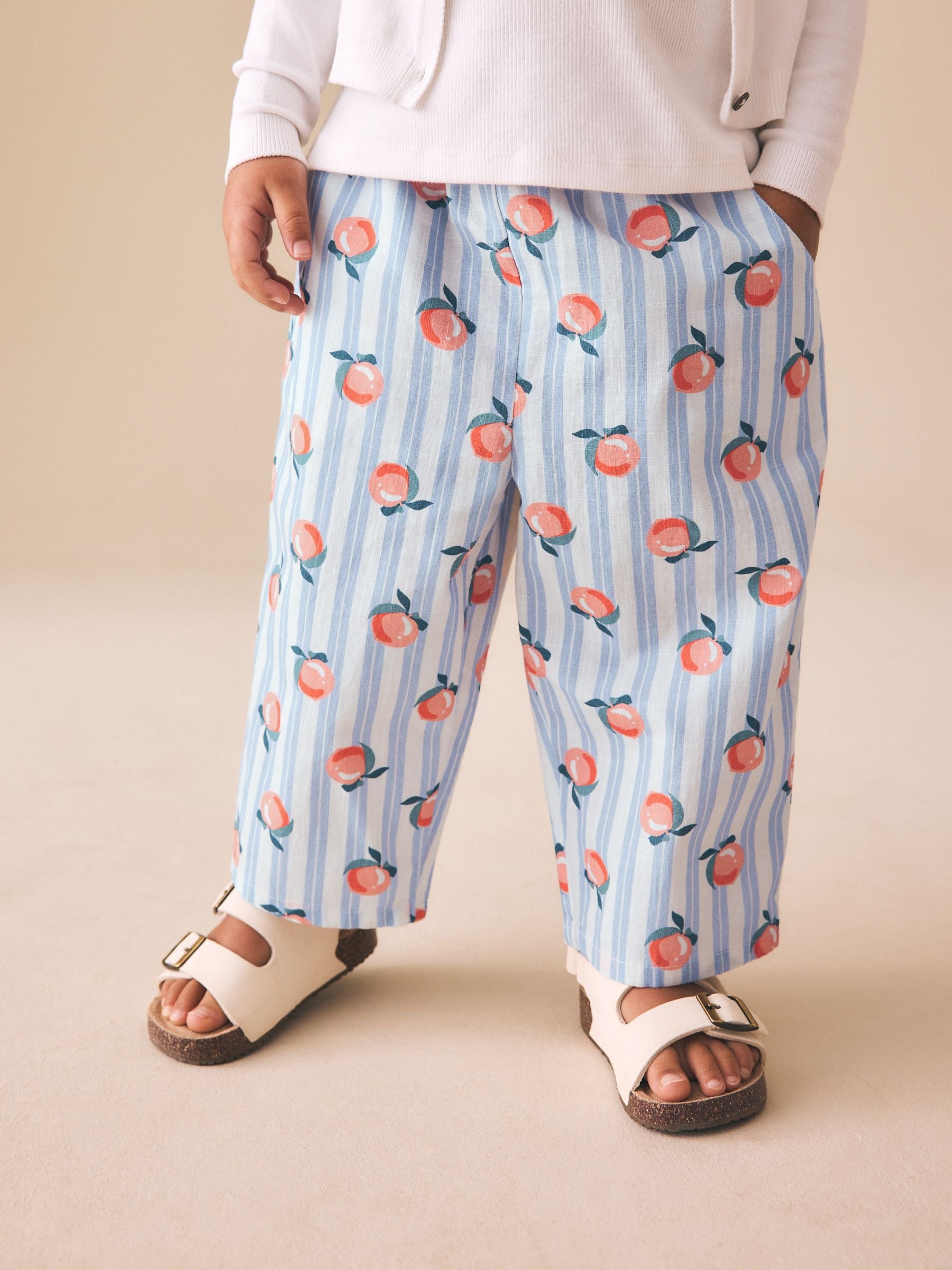 Blue Stripe Peach Print Pullon Trousers (3mths-7yrs) image 1