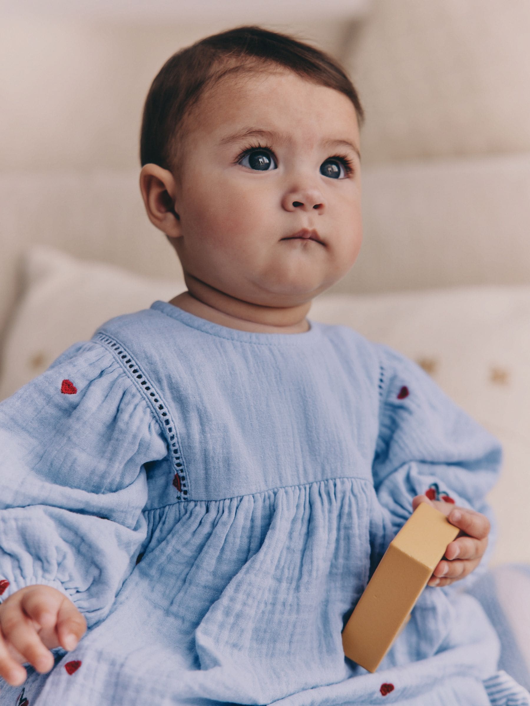 Blue/Red Baby Long Sleeve Embroidered Dress (0mths-2yrs) image 4