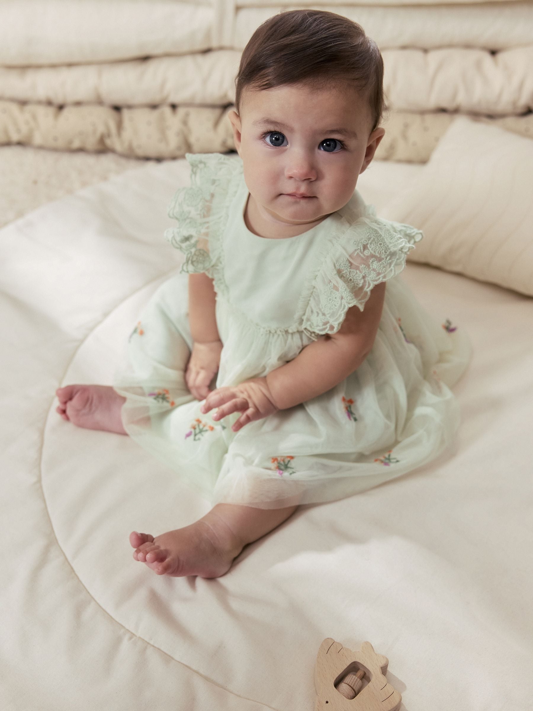 Sage Green Baby Mesh Dress (0mths-2yrs) image 1