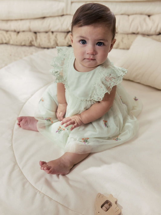 Dsiney Kidz - Sage Green Baby Mesh Dress (0mths-2yrs) image 1