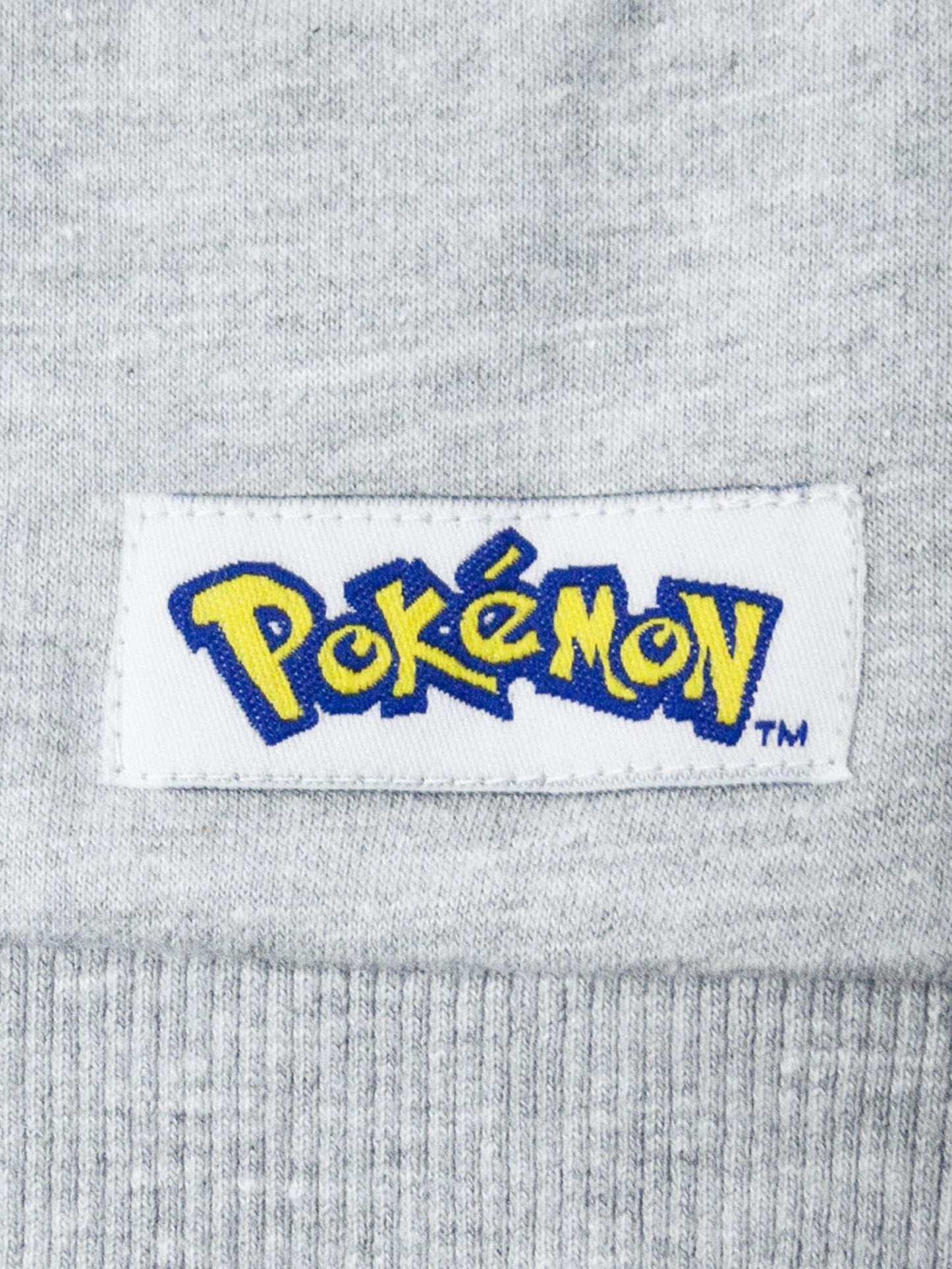 Dsiney Kidz - Vanilla Underground Grey Boys Pokemon Print Hoodie image 5