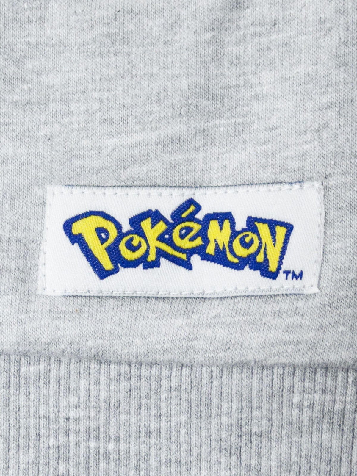 Dsiney Kidz - Vanilla Underground Grey Boys Pokemon Print Hoodie image 5