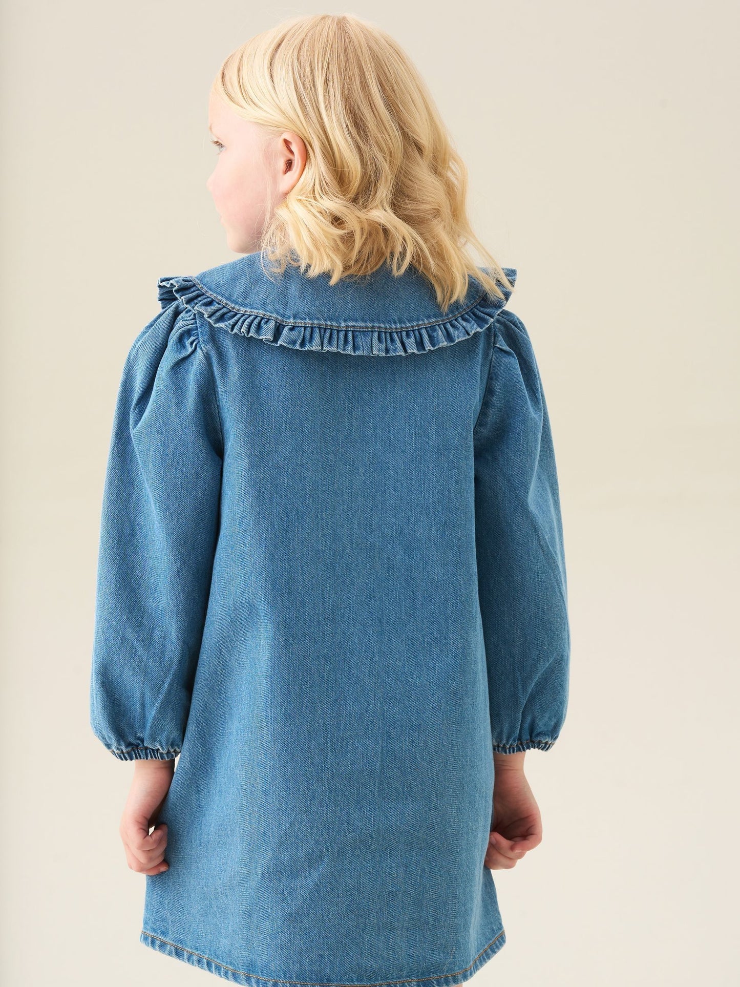 Angel & Rocket Blue Aria Denim Embroidered Collar Dress image 3