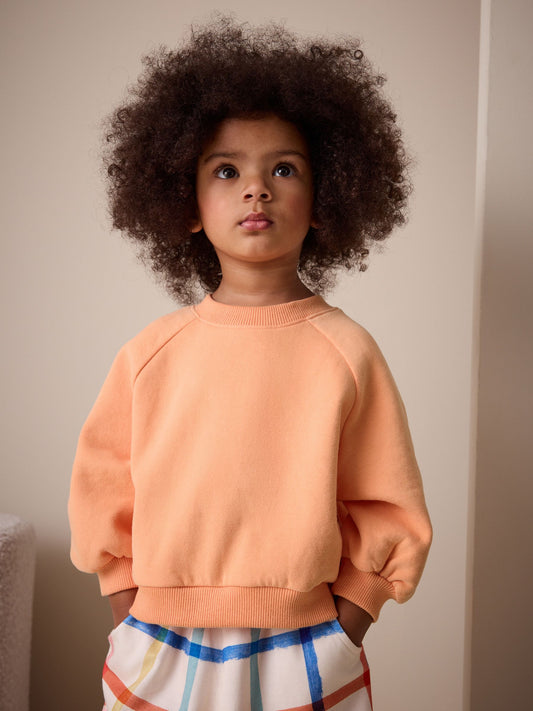 Orange Crew Neck Sweatshirt (3mths-7yrs) image 1