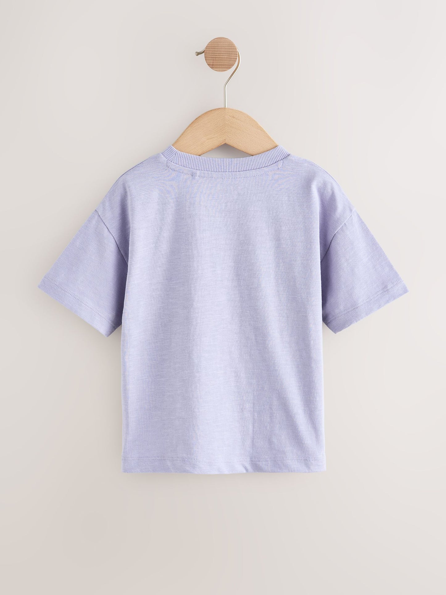 Purple Dinosaur Short Sleeve Graphic T-Shirt (3mths-7yrs) image 5