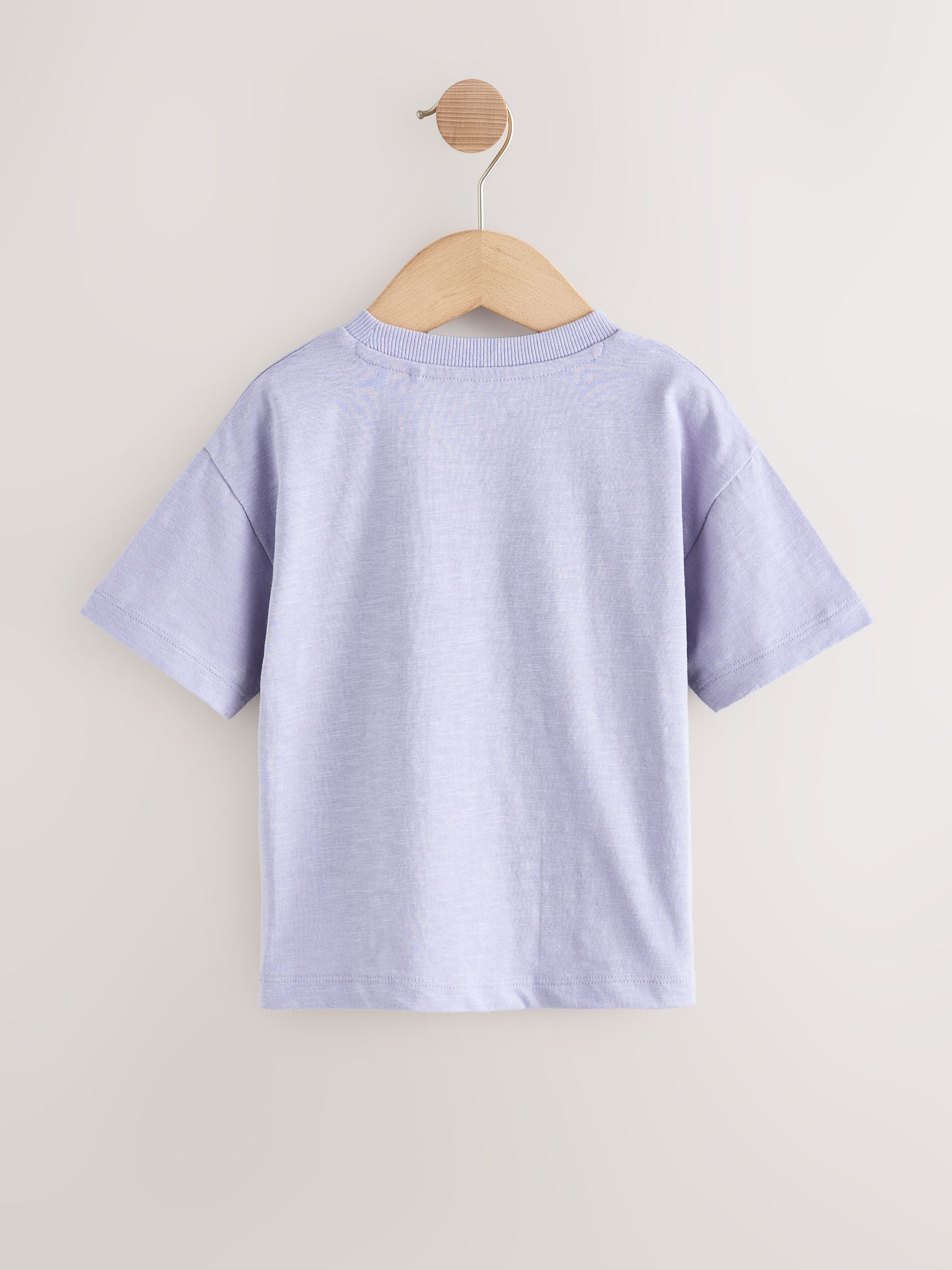 Purple Dinosaur Short Sleeve Graphic T-Shirt (3mths-7yrs) image 5
