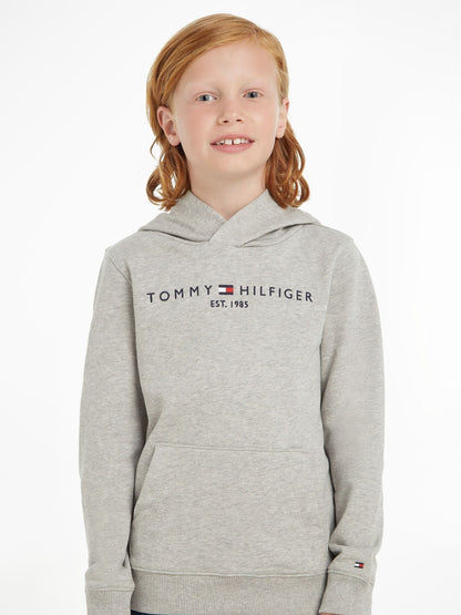 Dsiney Kidz - Tommy Hilfiger Grey Essential Logo Pure Cotton Hoodie image 1