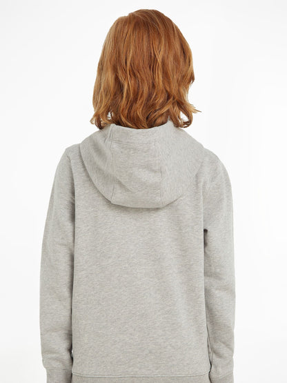Dsiney Kidz - Tommy Hilfiger Grey Essential Logo Pure Cotton Hoodie image 2