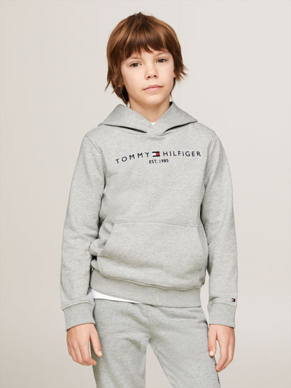 Dsiney Kidz - Tommy Hilfiger Grey Essential Logo Pure Cotton Hoodie image 4