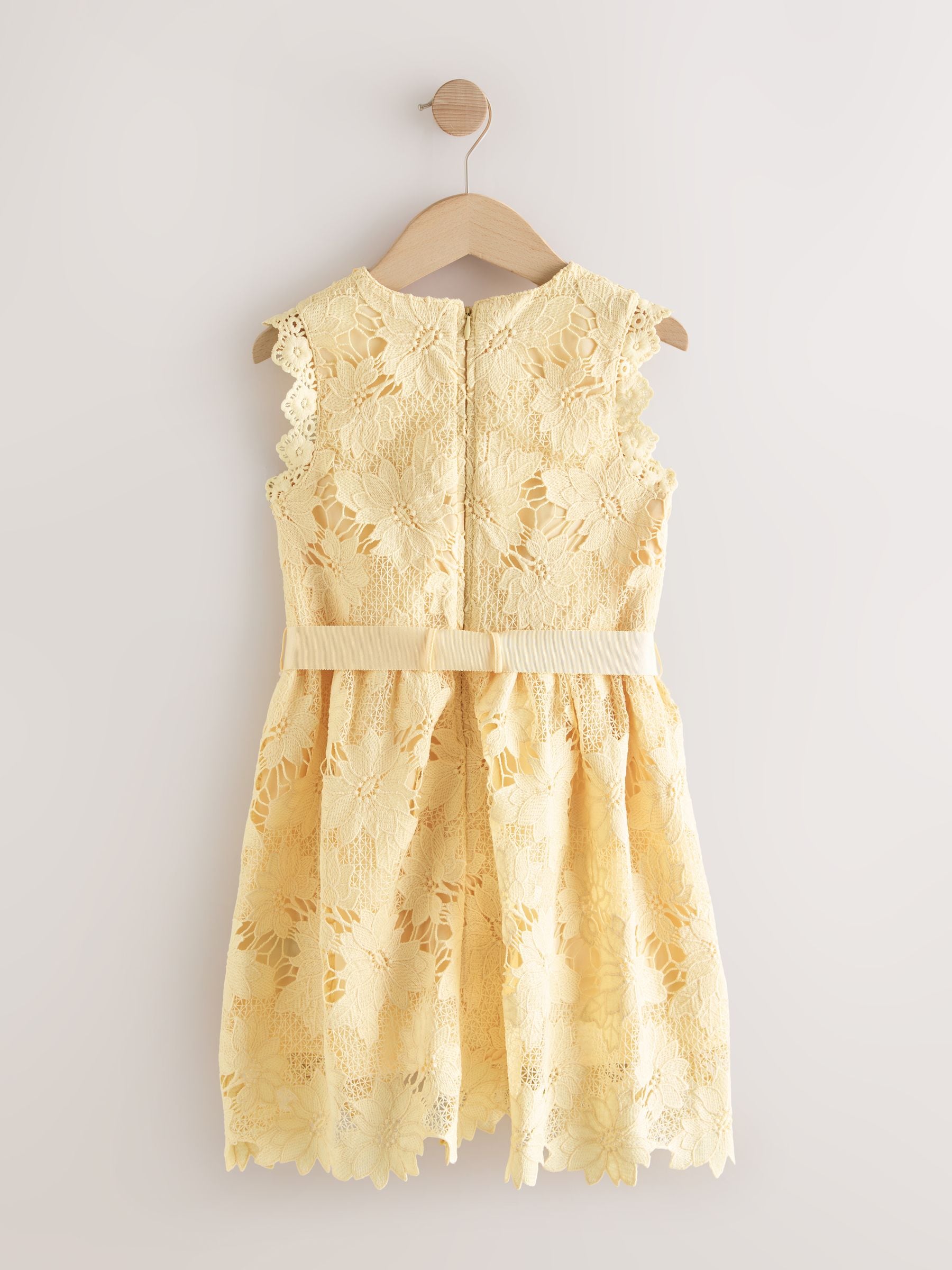 Yellow Lace Occasion Dress (3-16yrs) image 5