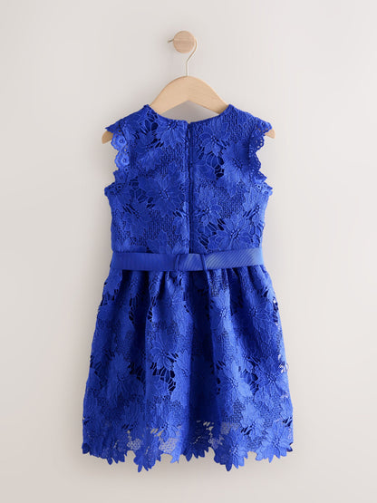 Cobalt Blue Lace Occasion Dress (3-16yrs) image 5