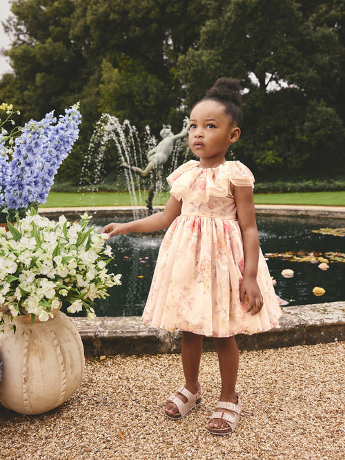 Dsiney Kidz - Cream Ruffle Collar Mesh Dress (3mths-7yrs) image 1