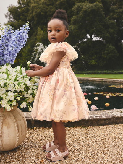 Cream Ruffle Collar Mesh Dress (3mths-7yrs) image 2