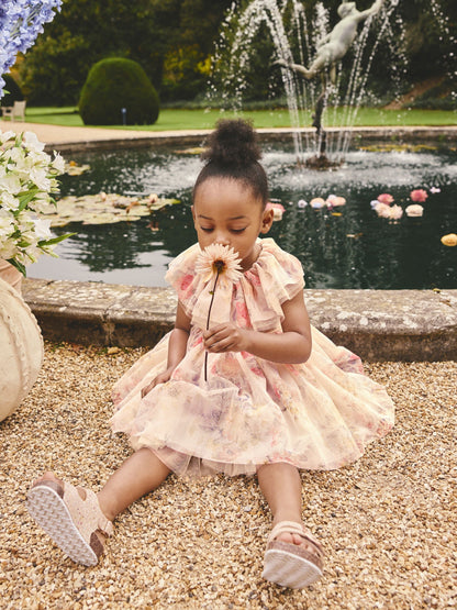 Cream Ruffle Collar Mesh Dress (3mths-7yrs) image 3
