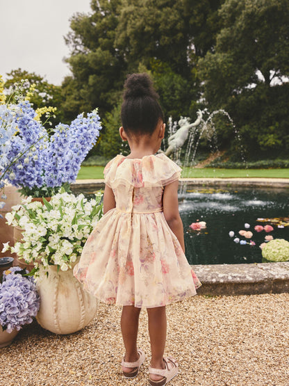 Cream Ruffle Collar Mesh Dress (3mths-7yrs) image 4