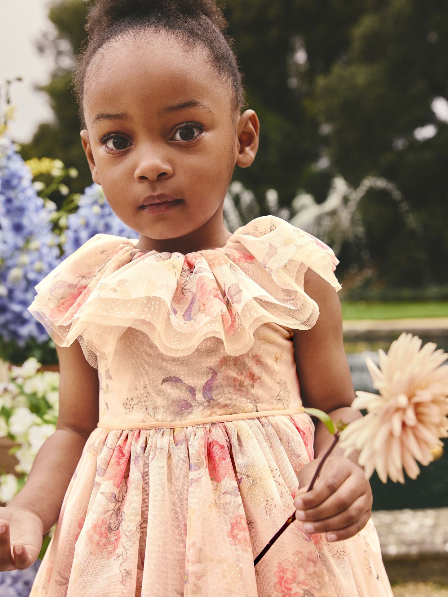 Cream Ruffle Collar Mesh Dress (3mths-7yrs) image 5
