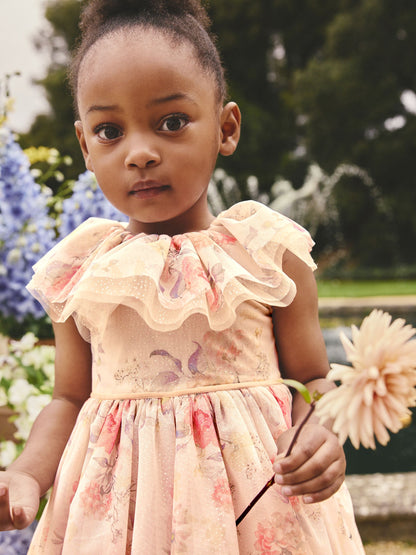 Cream Ruffle Collar Mesh Dress (3mths-7yrs) image 5