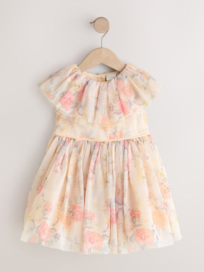 Cream Ruffle Collar Mesh Dress (3mths-7yrs) image 6