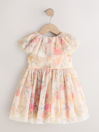 Cream Ruffle Collar Mesh Dress (3mths-7yrs) image 7