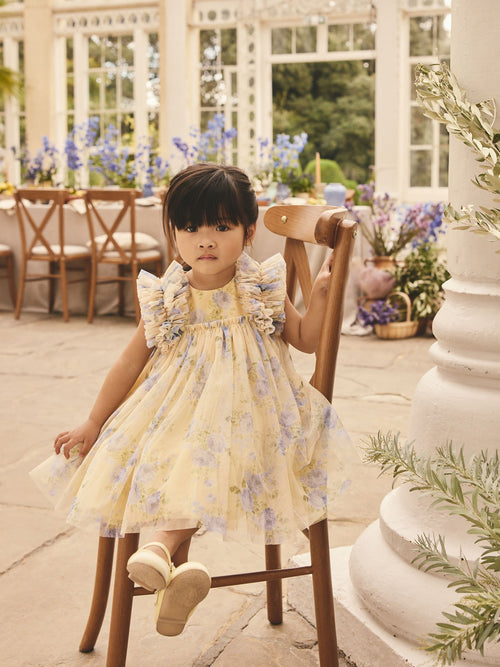 Dsiney Kidz - Yellow Ruffle Shoulder Mesh Dress (3mths-7yrs) image 1