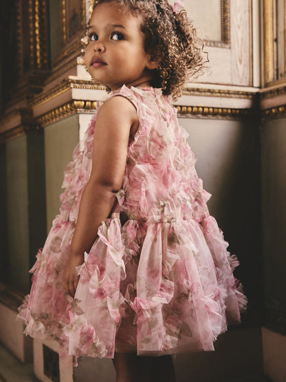 Pink Floral Sleeveless Mesh Dress (3mths-7yrs) image 4