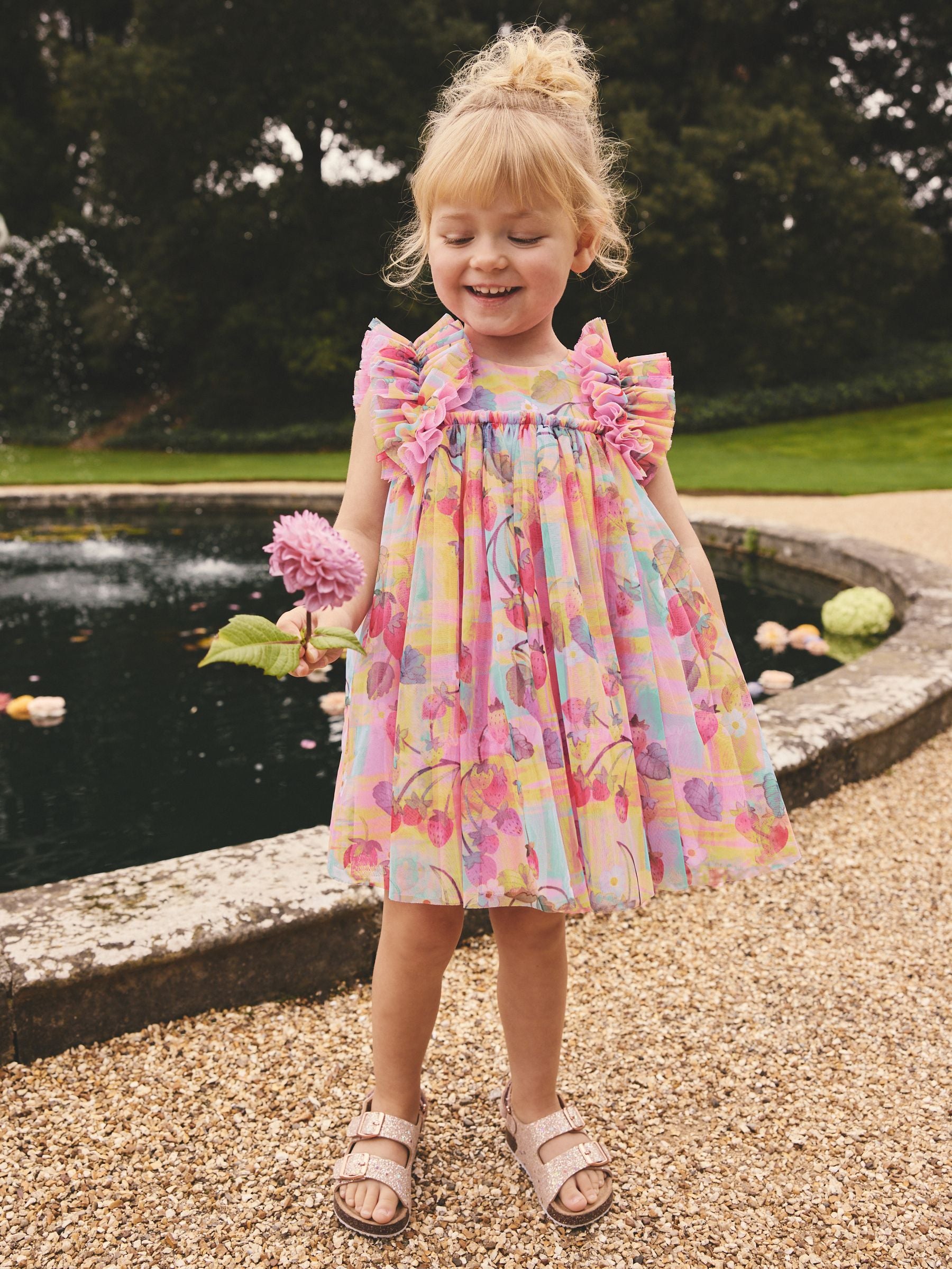 Pink Ruffle Shoulder Mesh Dress (3mths-7yrs) image 1