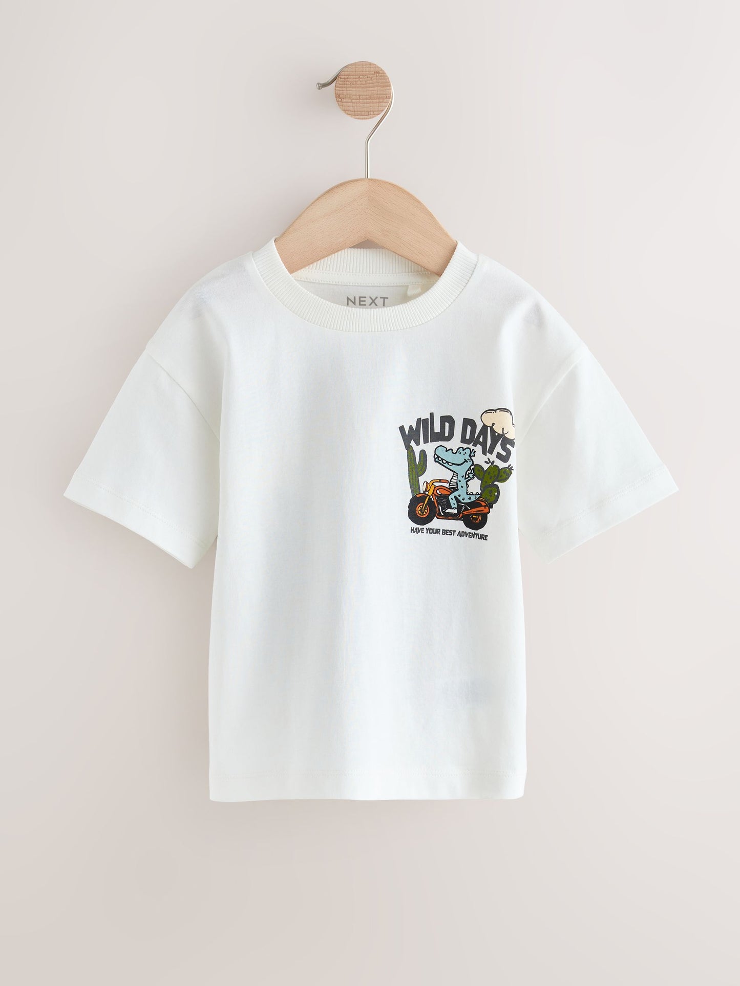 White Dinosaur Oversized Short Sleeve Back Print T-Shirt (3mths-7yrs) image 1