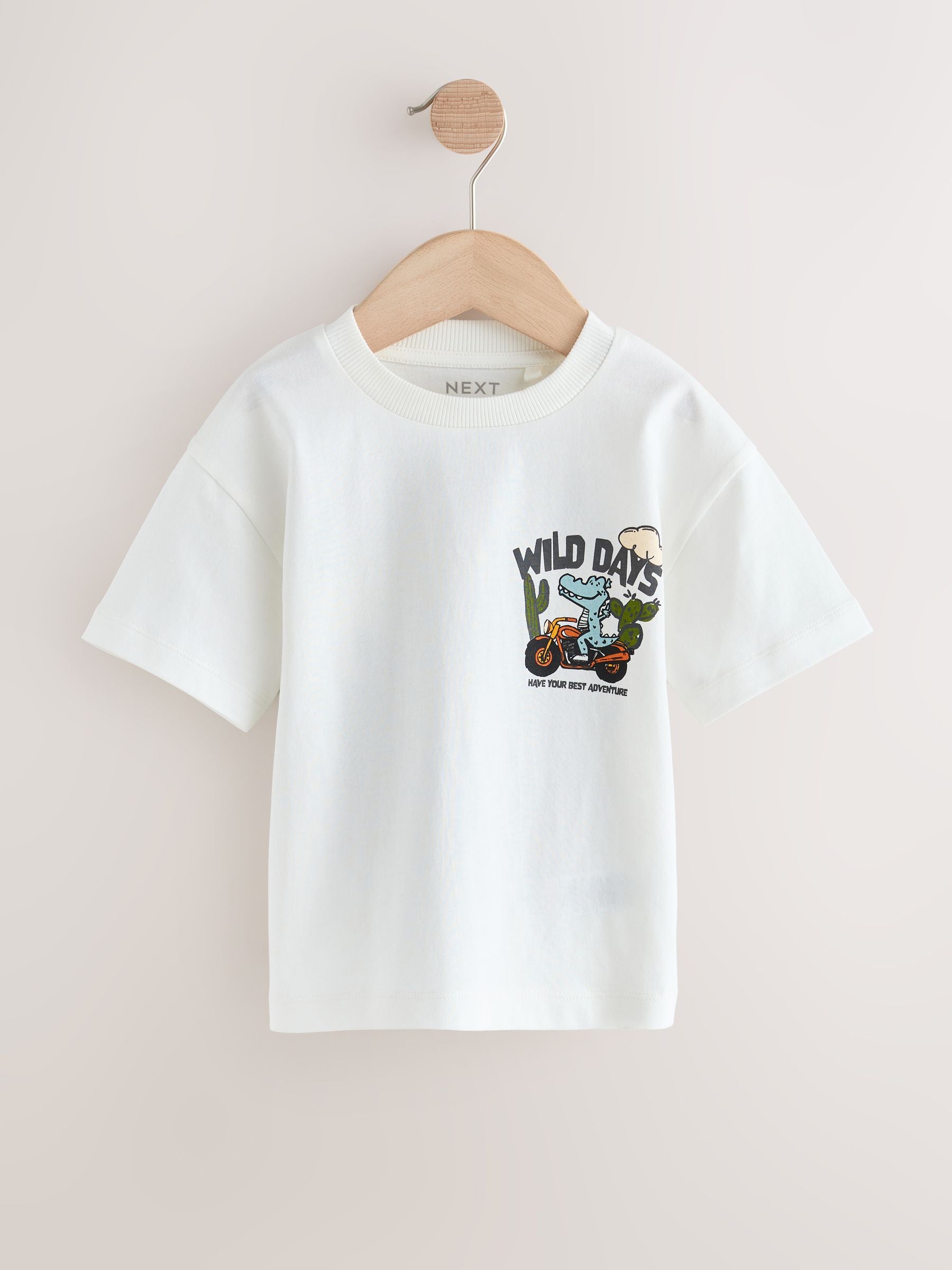 White Dinosaur Oversized Short Sleeve Back Print T-Shirt (3mths-7yrs) image 1