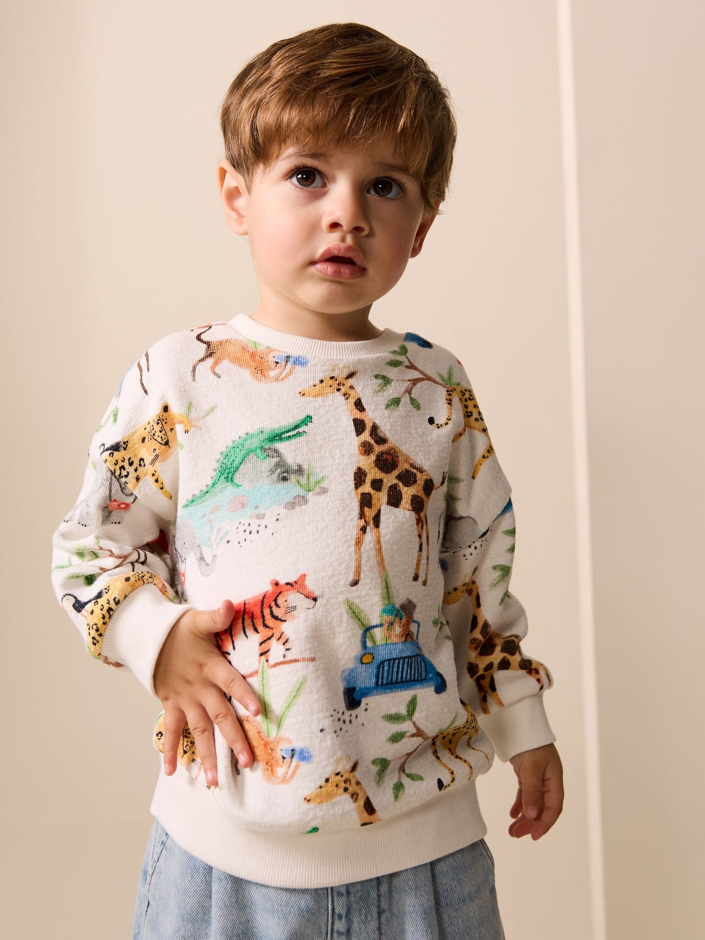 Dsiney Kidz - Watercolour Animals All Over Printed Crew Neck Sweat Top (3mths-7yrs) image 1