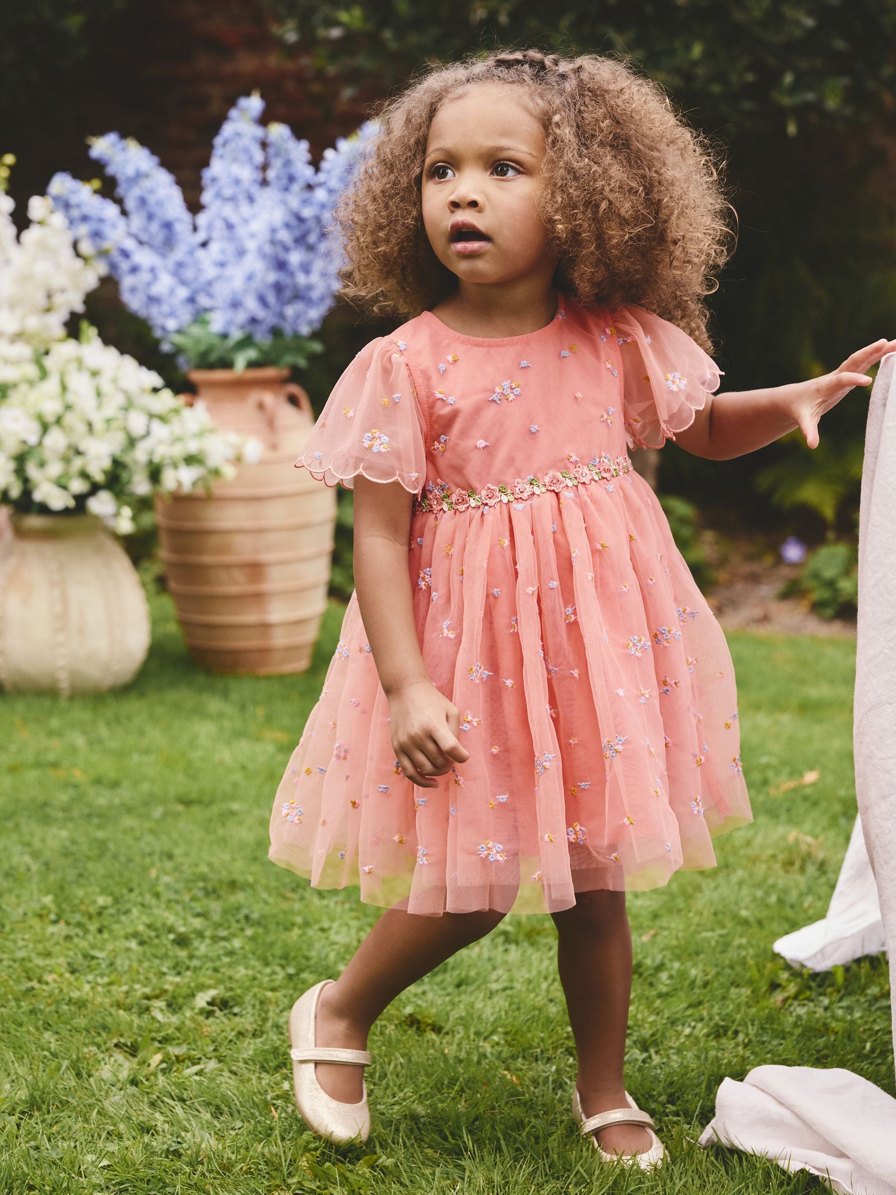 Peach Pink Embroidered Mesh Dress (3mths-8yrs) image 1