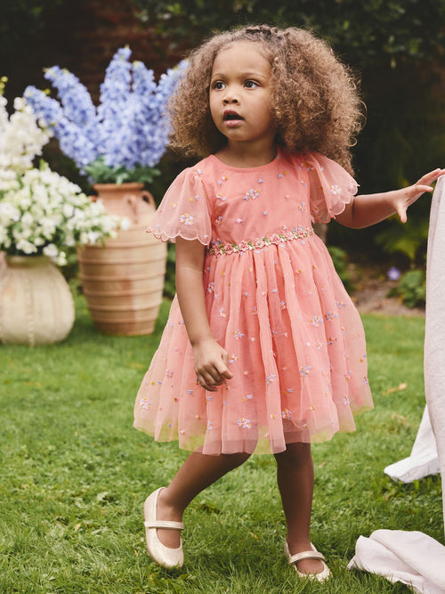 Peach Pink Embroidered Mesh Dress (3mths-8yrs) image 1