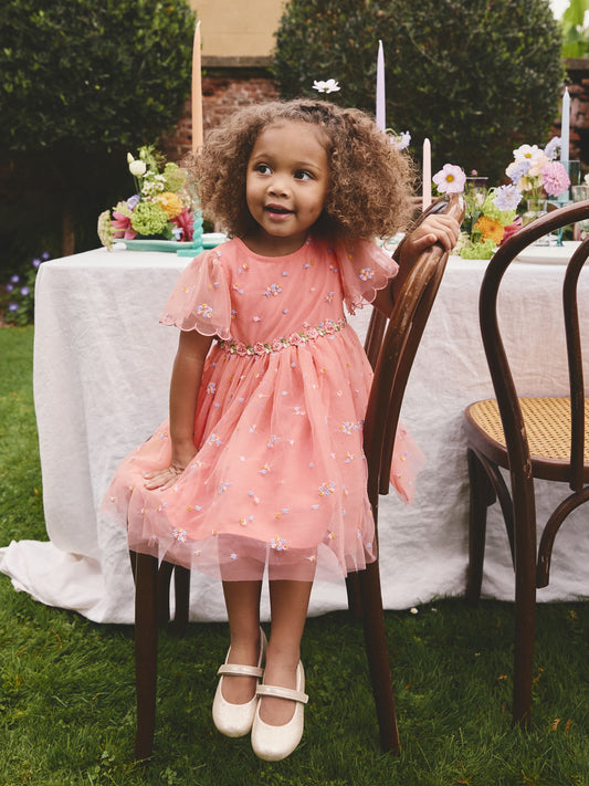 Peach Pink Embroidered Mesh Dress (3mths-8yrs) image 2