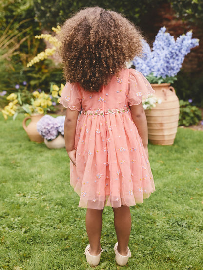 Peach Pink Embroidered Mesh Dress (3mths-8yrs) image 3