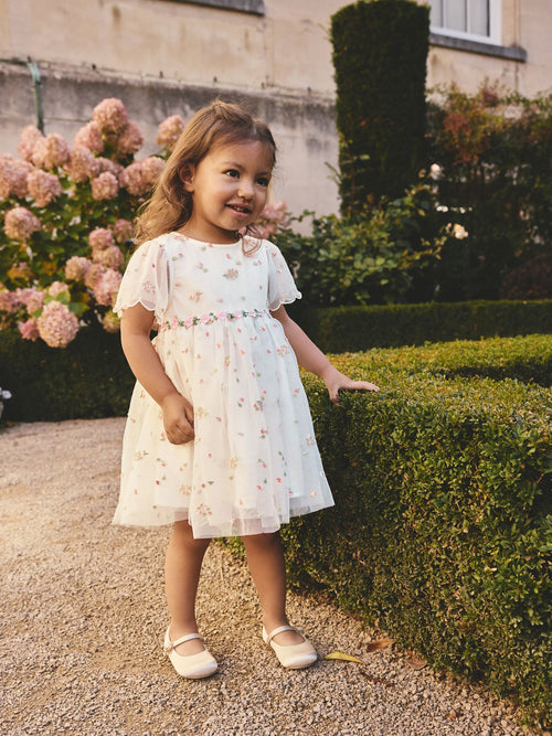 Ivory Embroidered Mesh Dress (3mths-8yrs) image 1