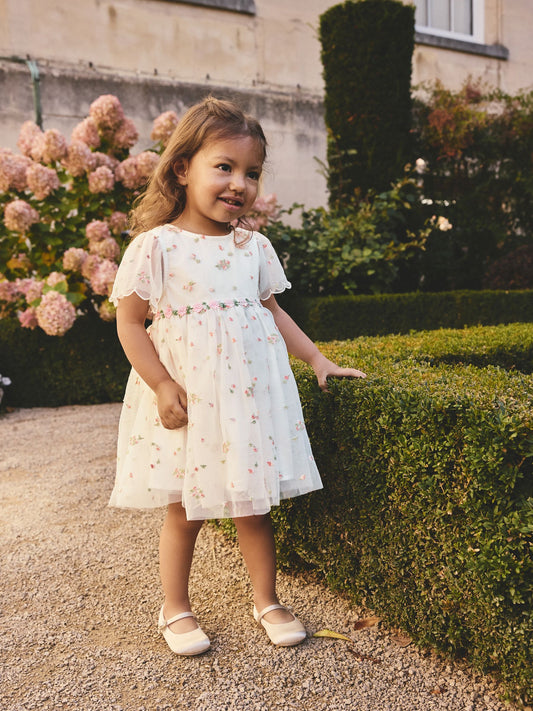 Ivory Embroidered Mesh Dress (3mths-8yrs) image 1